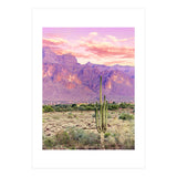 Cactus Sunset (Print Only) thumbnail
