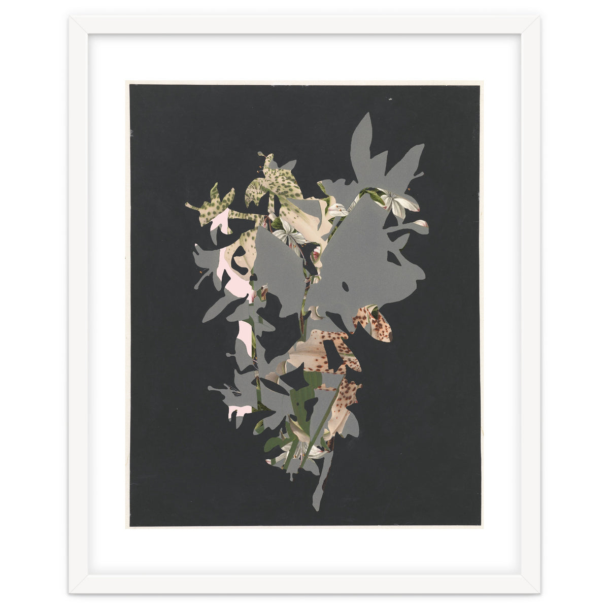 The First Plant · Black