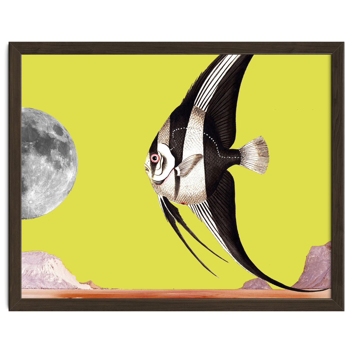 Plenty of fish in the sea yellow