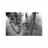 London Eye  (Print Only) thumbnail