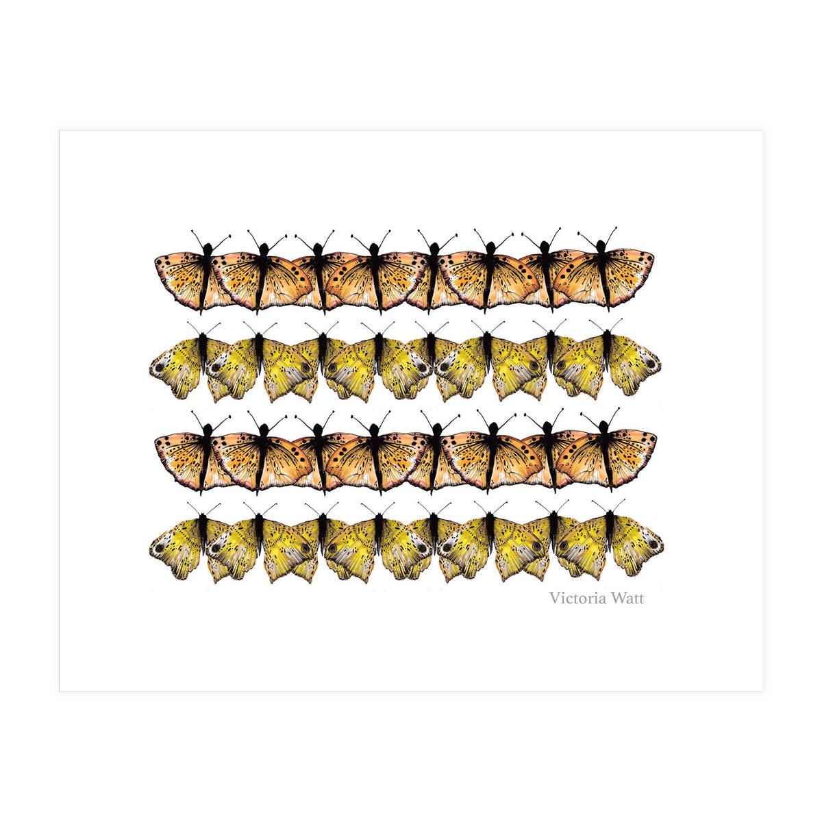 Butterfly Dance (Print Only)
