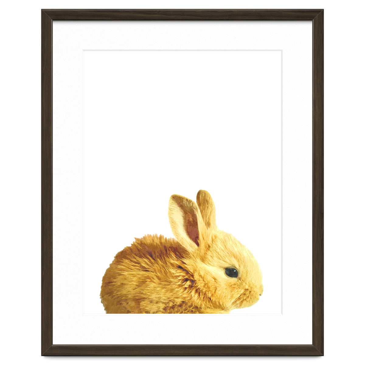 Bunny Portrait