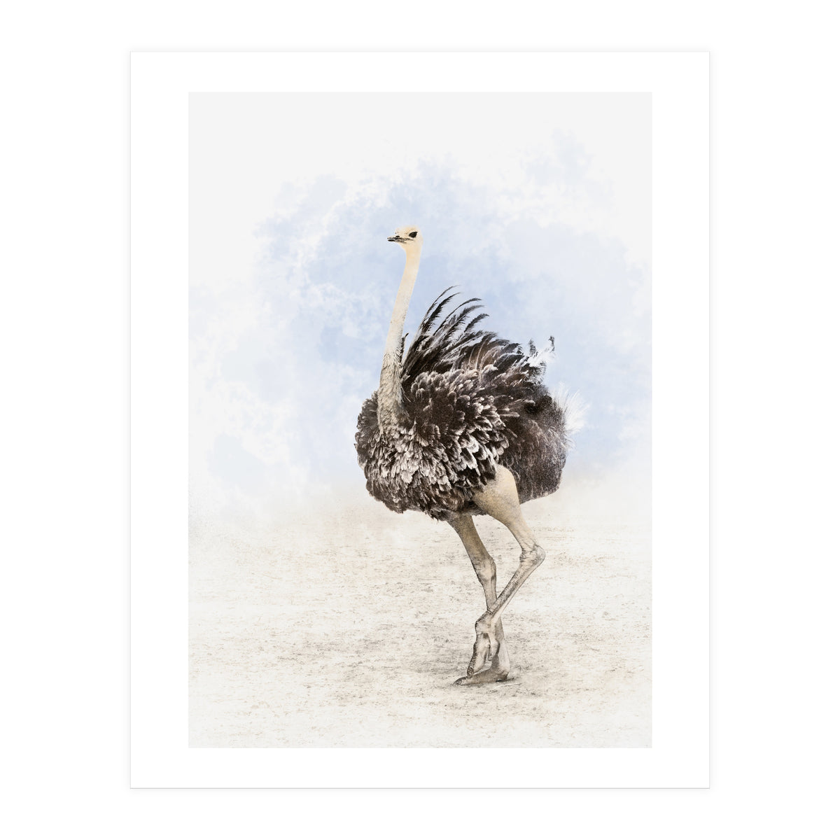 Ostrich (Print Only)