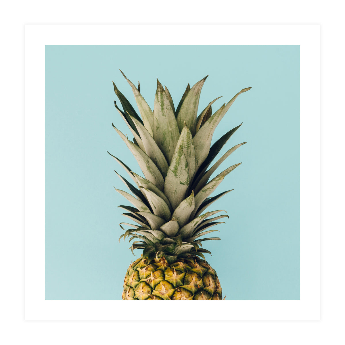 Pineapple On Blue Background (Print Only)