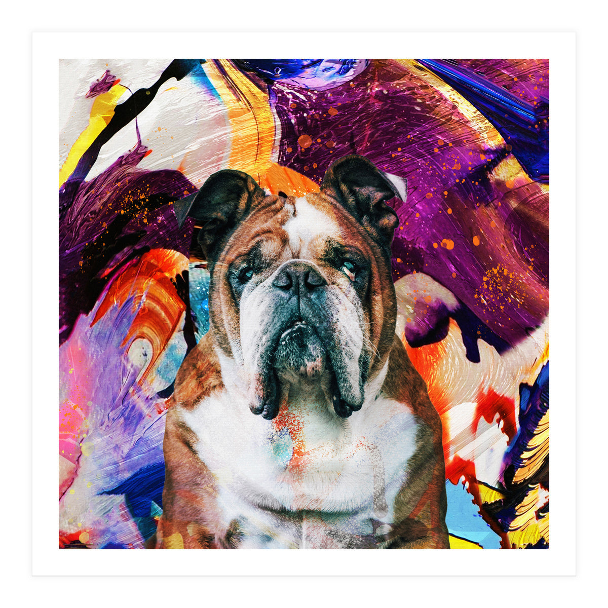 Zycko Color Dog 3 (Print Only)