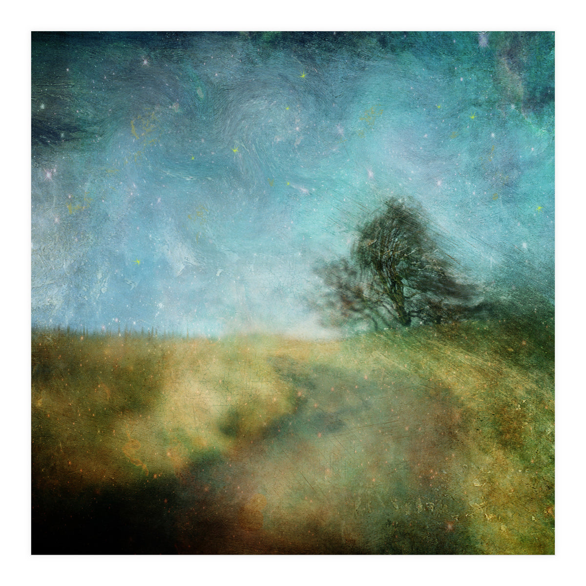 Dancing In The Wind (Print Only)