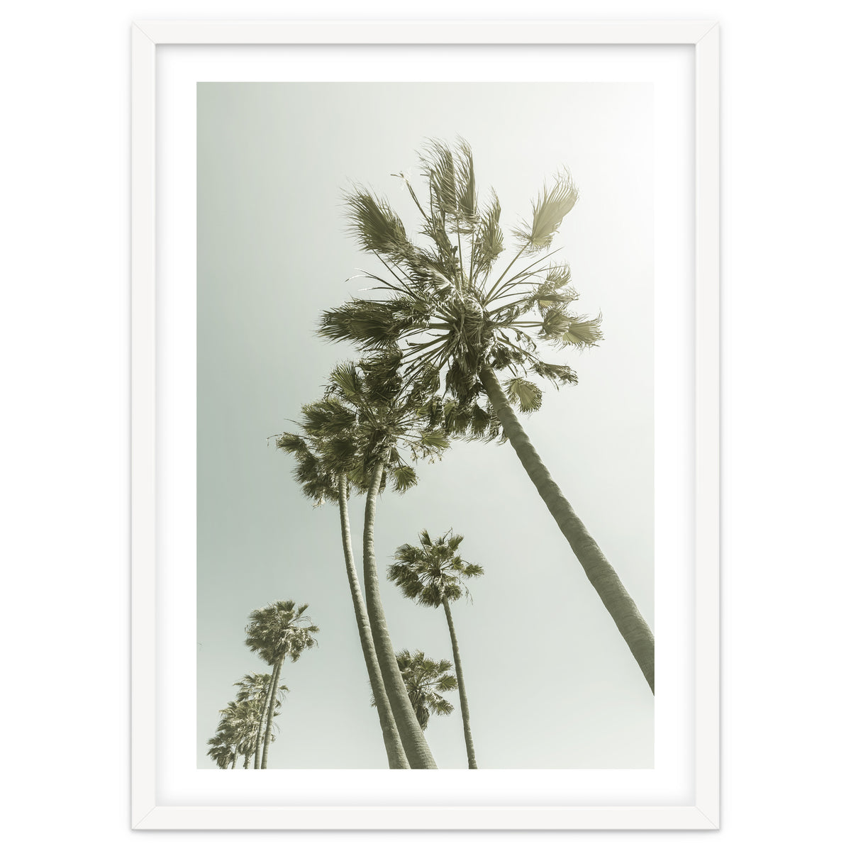 Vintage Palm Trees