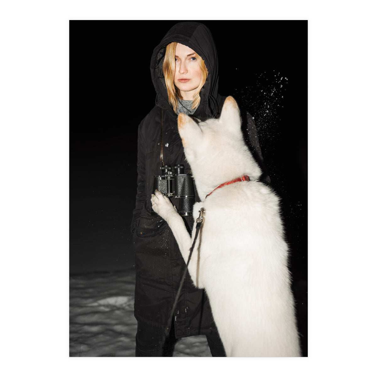 Wolfgang (Print Only)