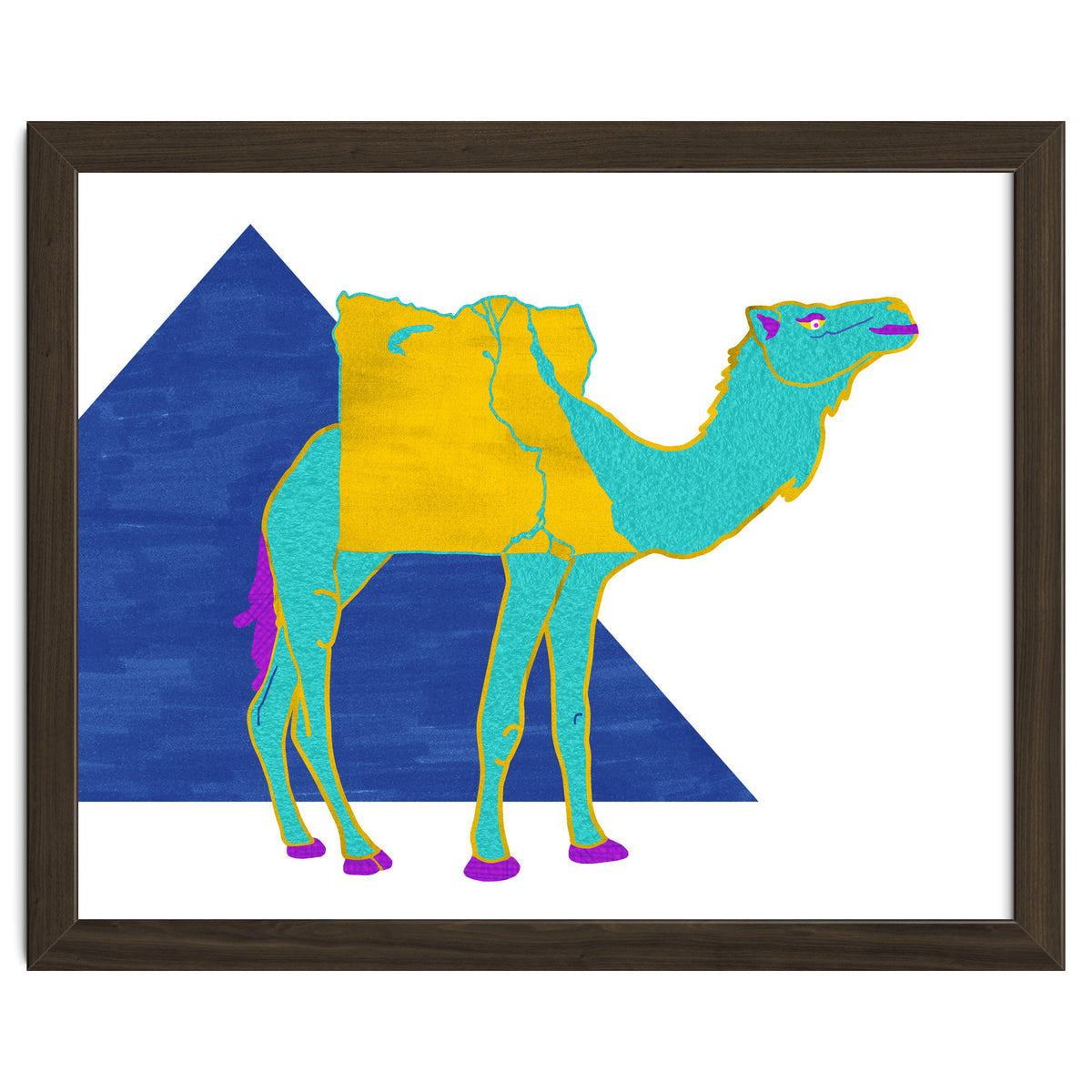 Egyptian Dromedary