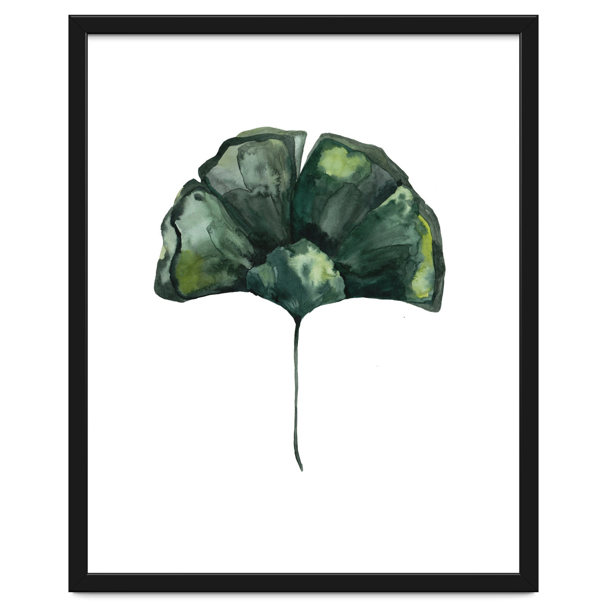 Botanical Illustration Ginko