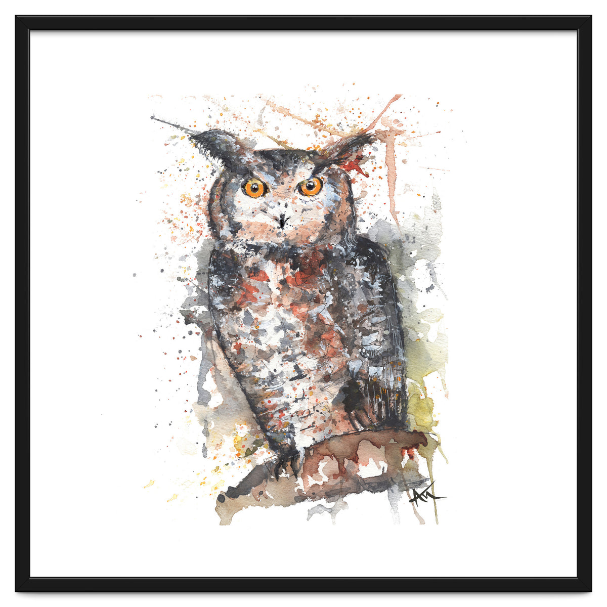 Owl - Wildlife Collection