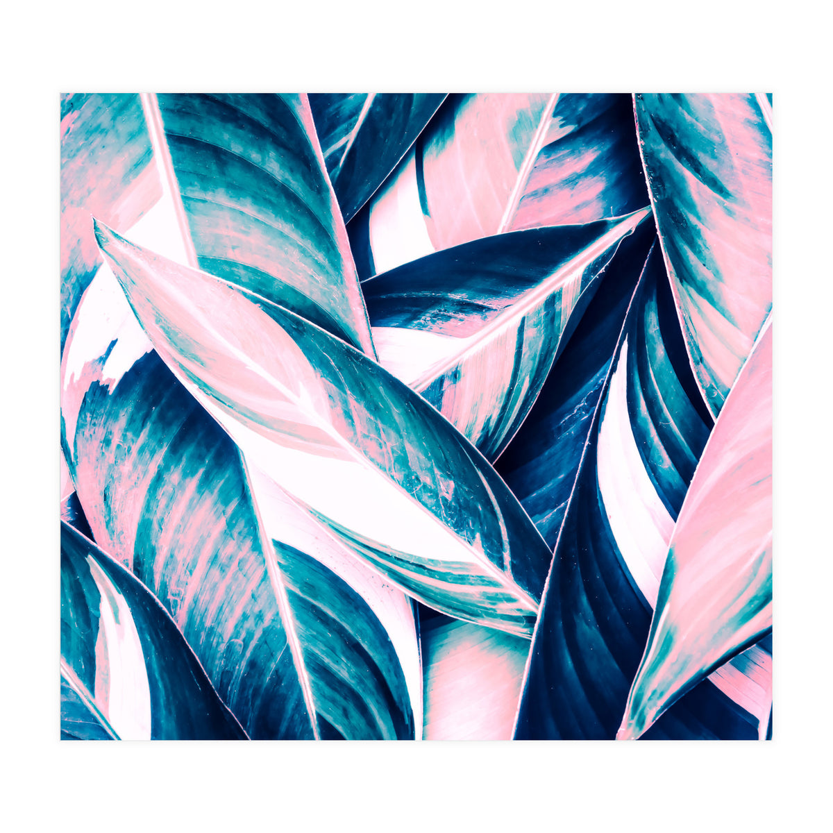 Botanical leaf pink and blue (Print Only)
