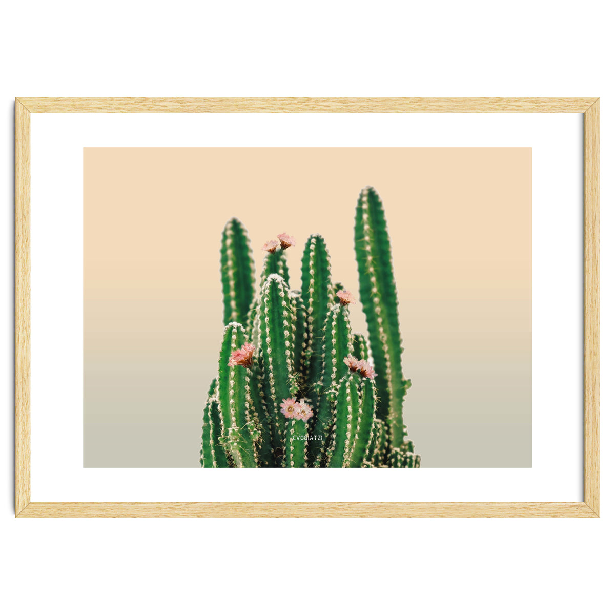 Flowered Cactus