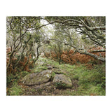 Undergrowth (Print Only) thumbnail