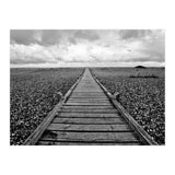 Dungeness, England (Print Only) thumbnail