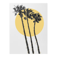 Palm Trees in the sun  (Print Only)