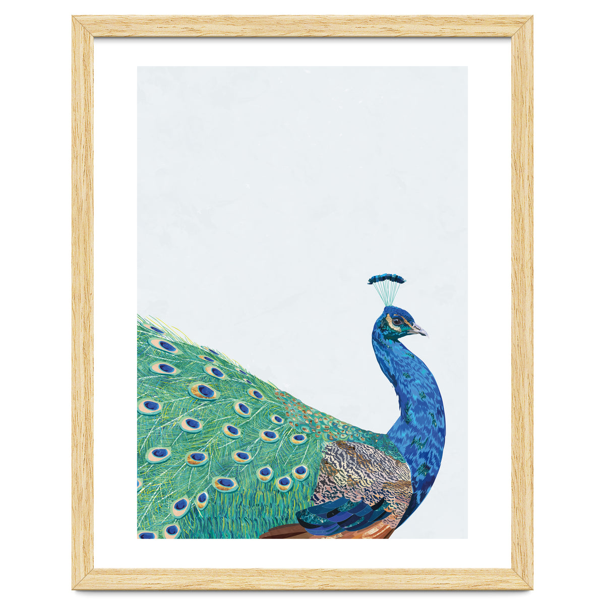 Peacock Portrait