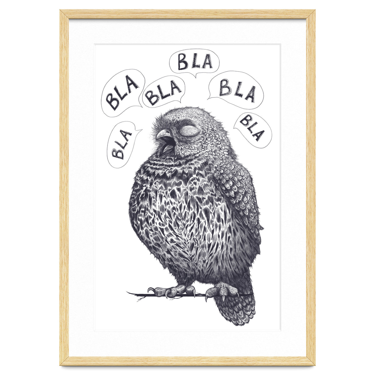 Owl Bla Bla Bla