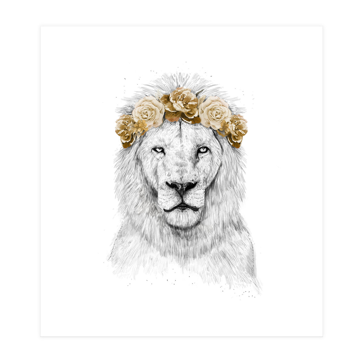 Festival Lion (color version) (Print Only)