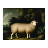 Sheep Classical Oil Painting (Print Only) thumbnail