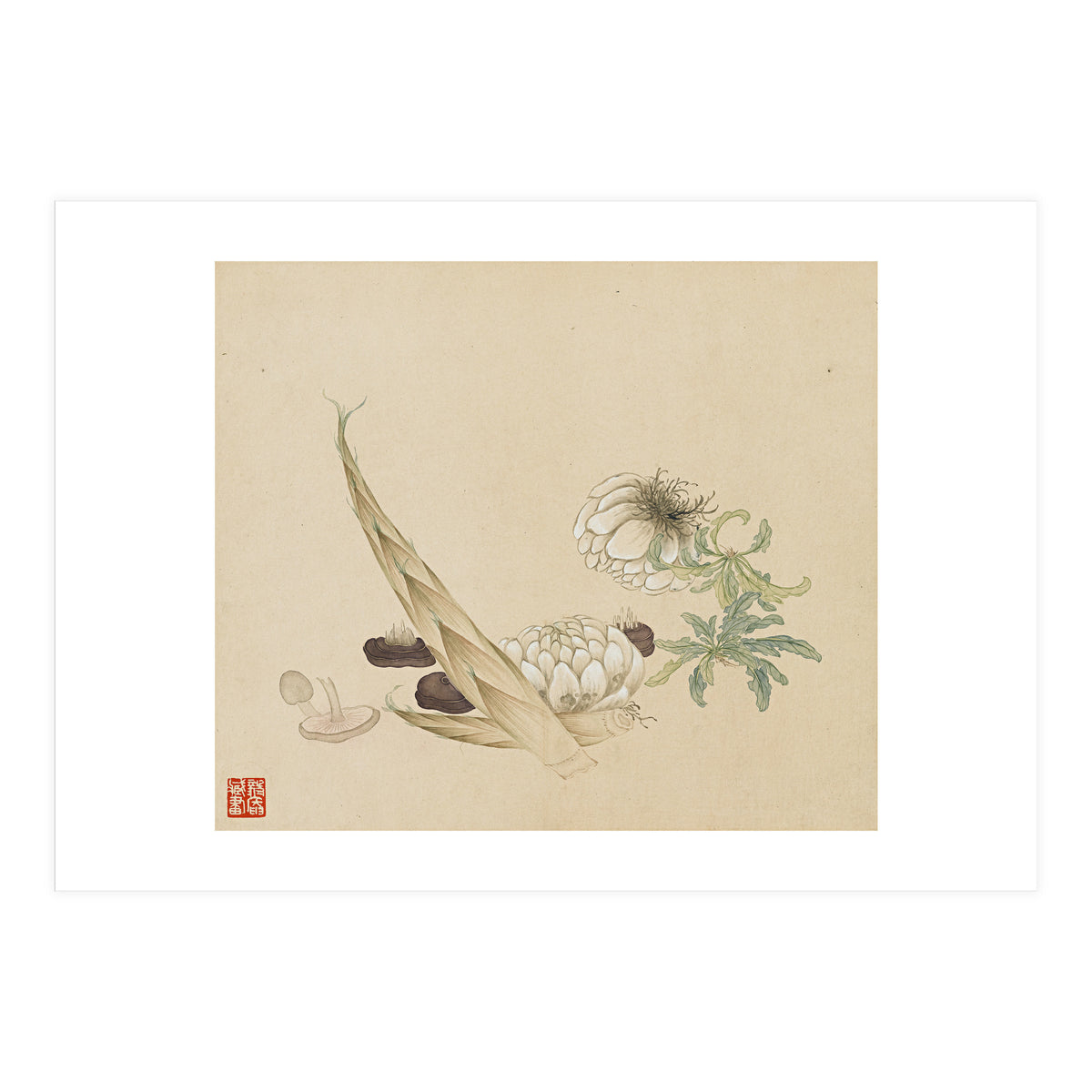 Wang Chengyu ~flowers, Vegetables, Lilies, Bamboo Shoots, Leaves, Mushrooms, Vegetables (Print Only)