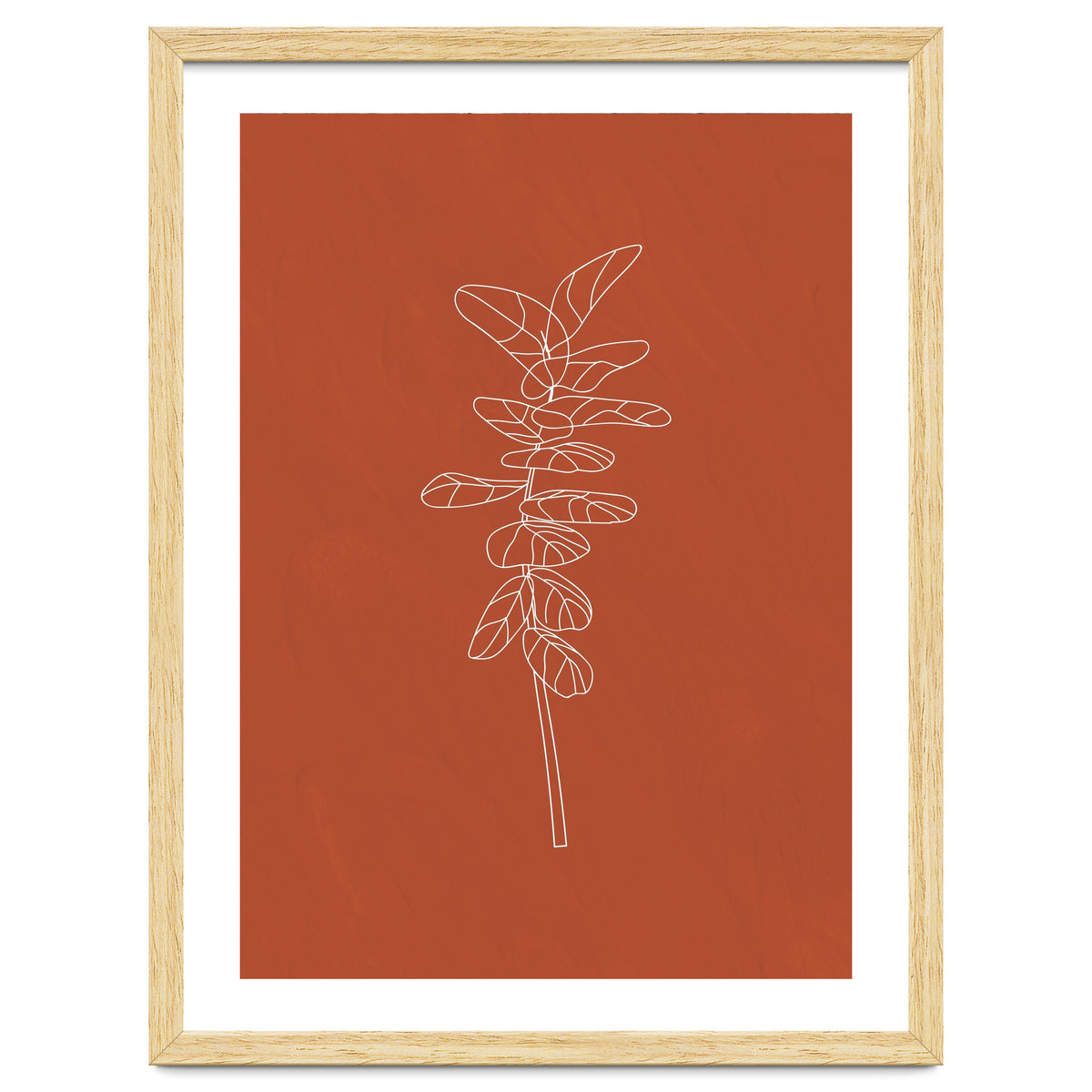 Line Art Botanical Terracotta