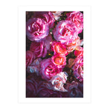 Rose Flowers  (Print Only) thumbnail