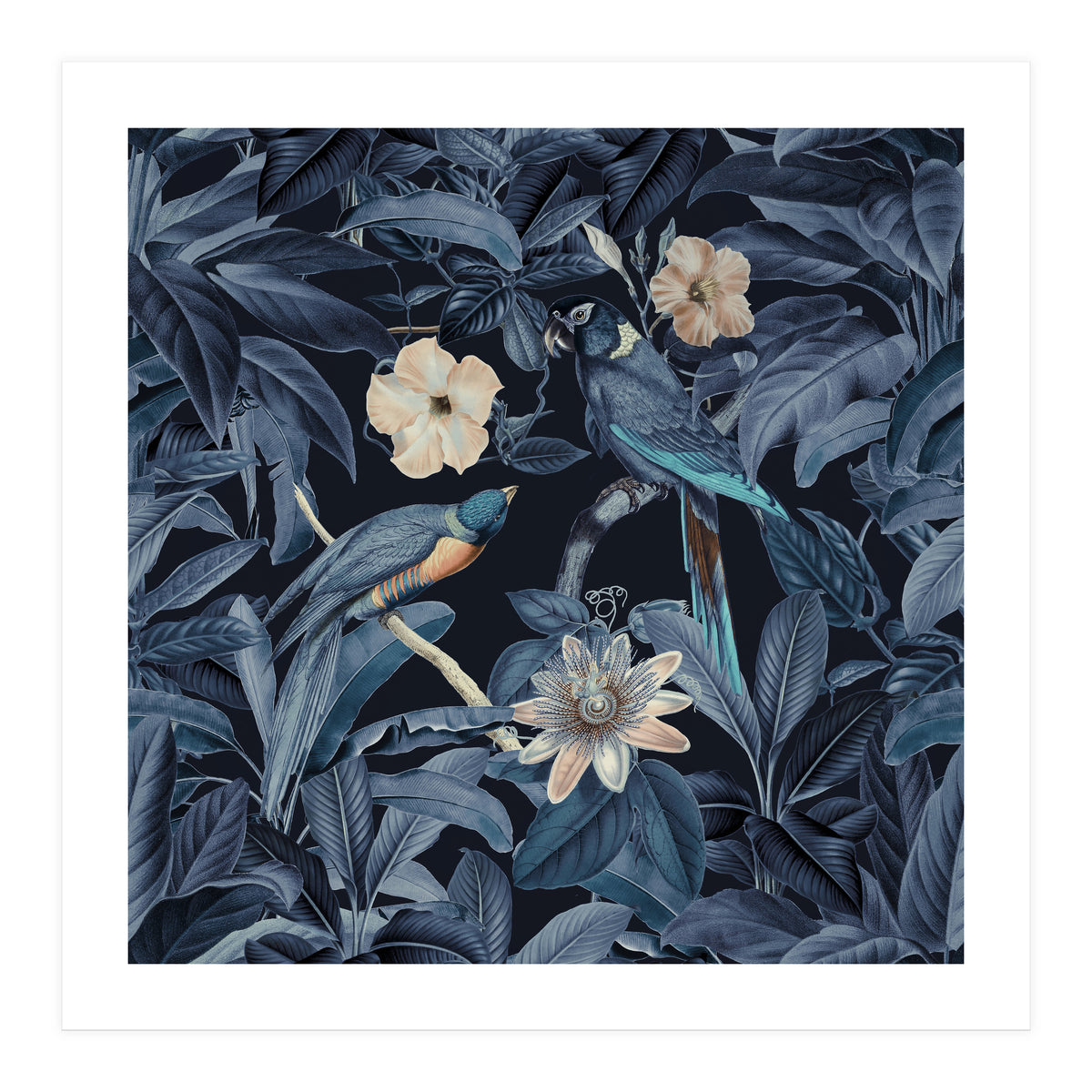 Exotic Jungle Birds At Night (Print Only)