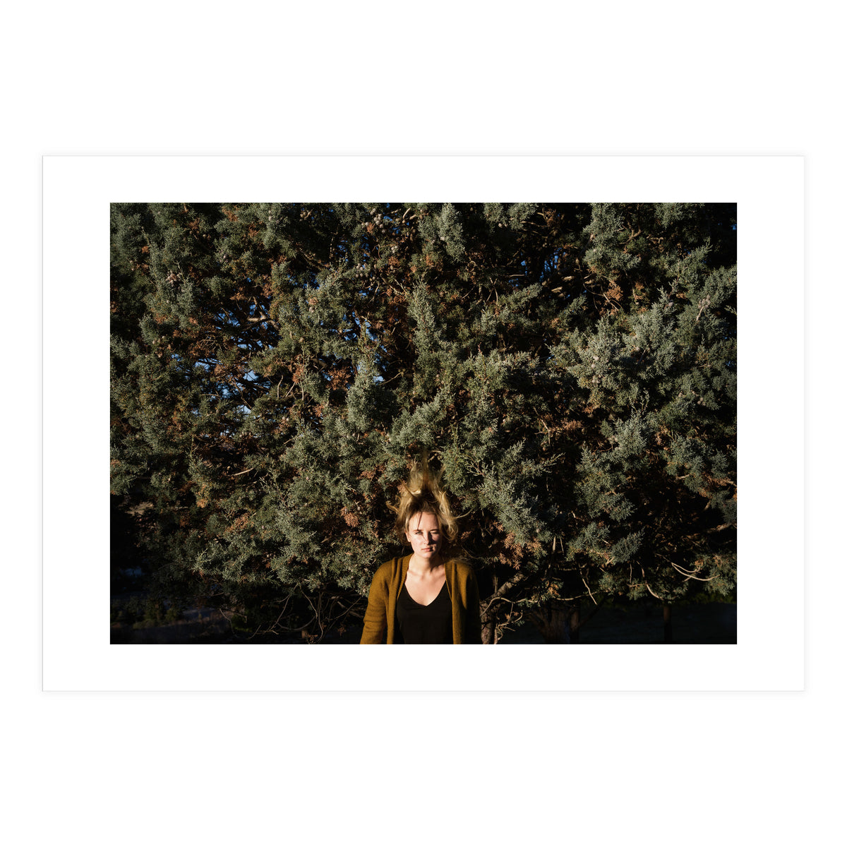 Transition from Summer to Winter (Print Only)