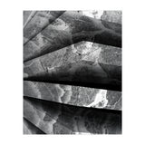 Parole  (Print Only) thumbnail
