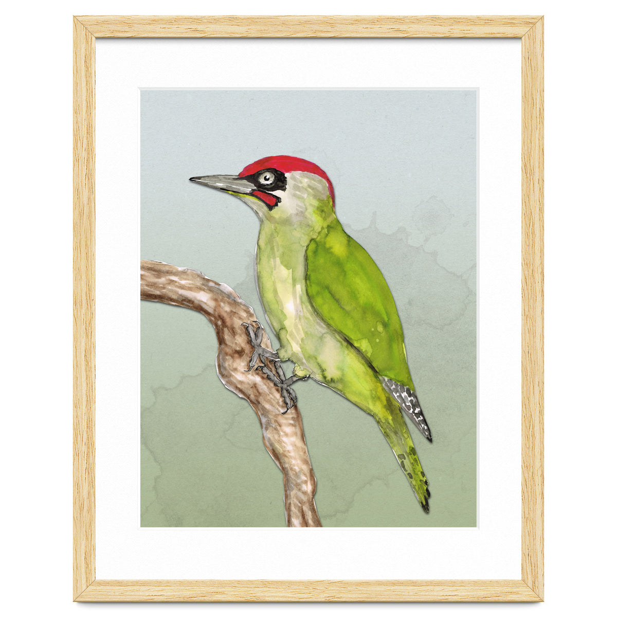 Green woodpecker