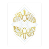 Polillas - Gold (Print Only) thumbnail
