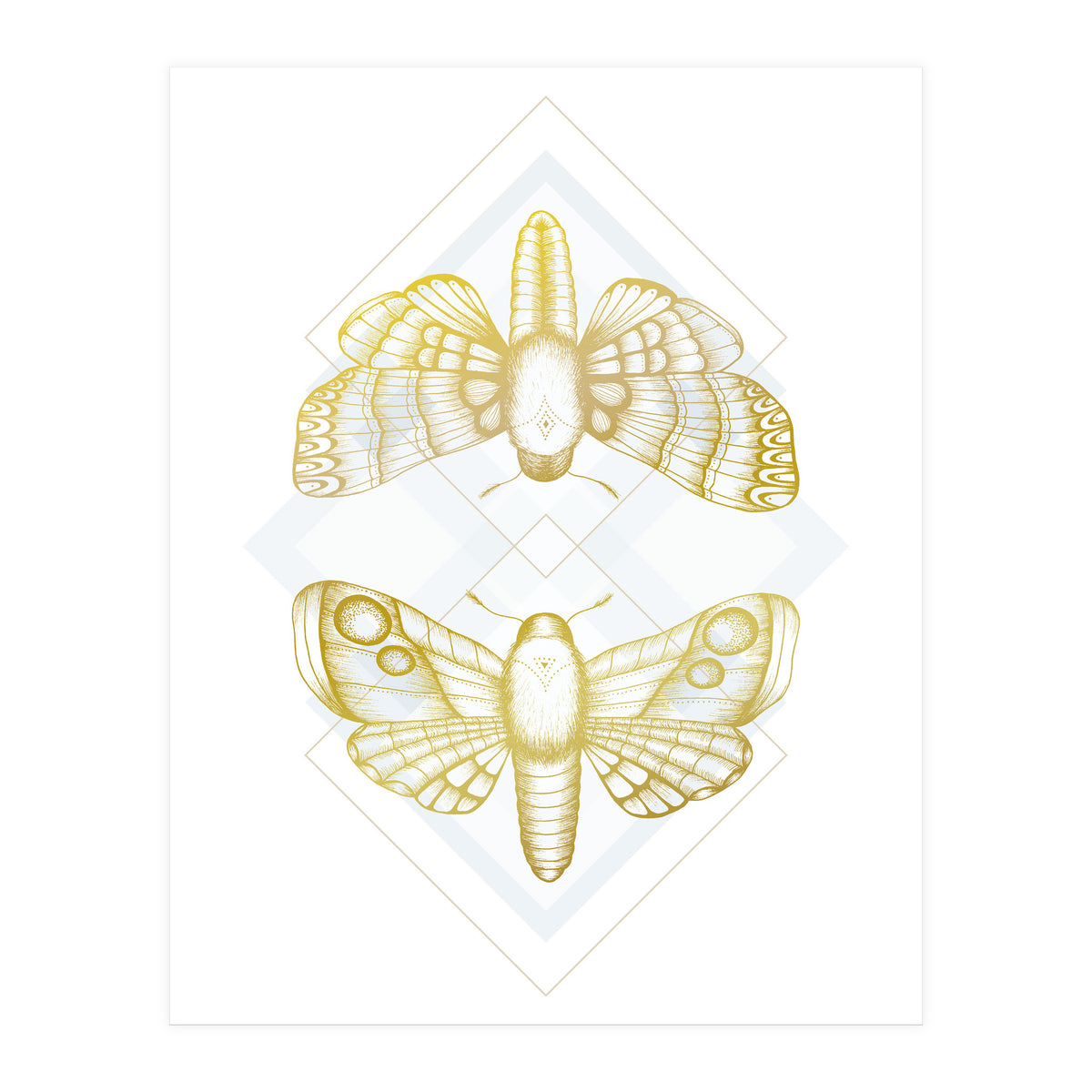 Polillas - Gold (Print Only)