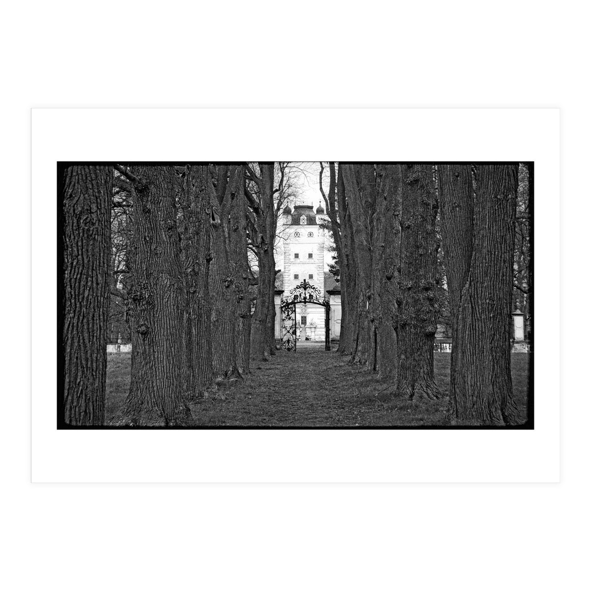 Old alley (Print Only)