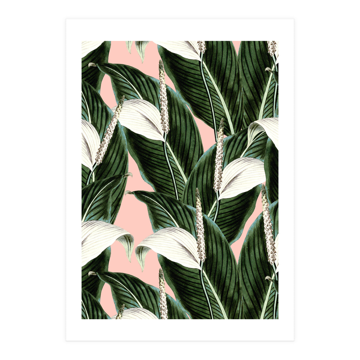 Sweet floral Pothos (Print Only)