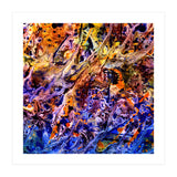 Avalon  (Print Only) thumbnail