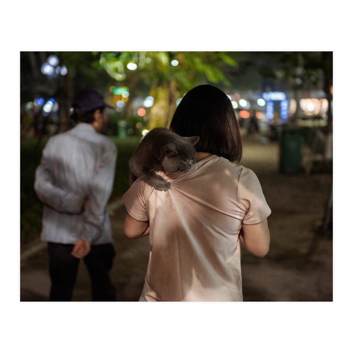 Cats of Vietnam (Print Only)