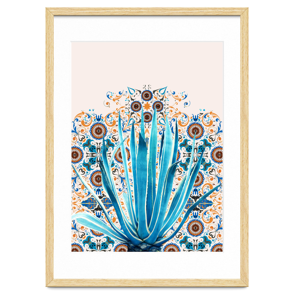 Cactus and Moroccan tiles