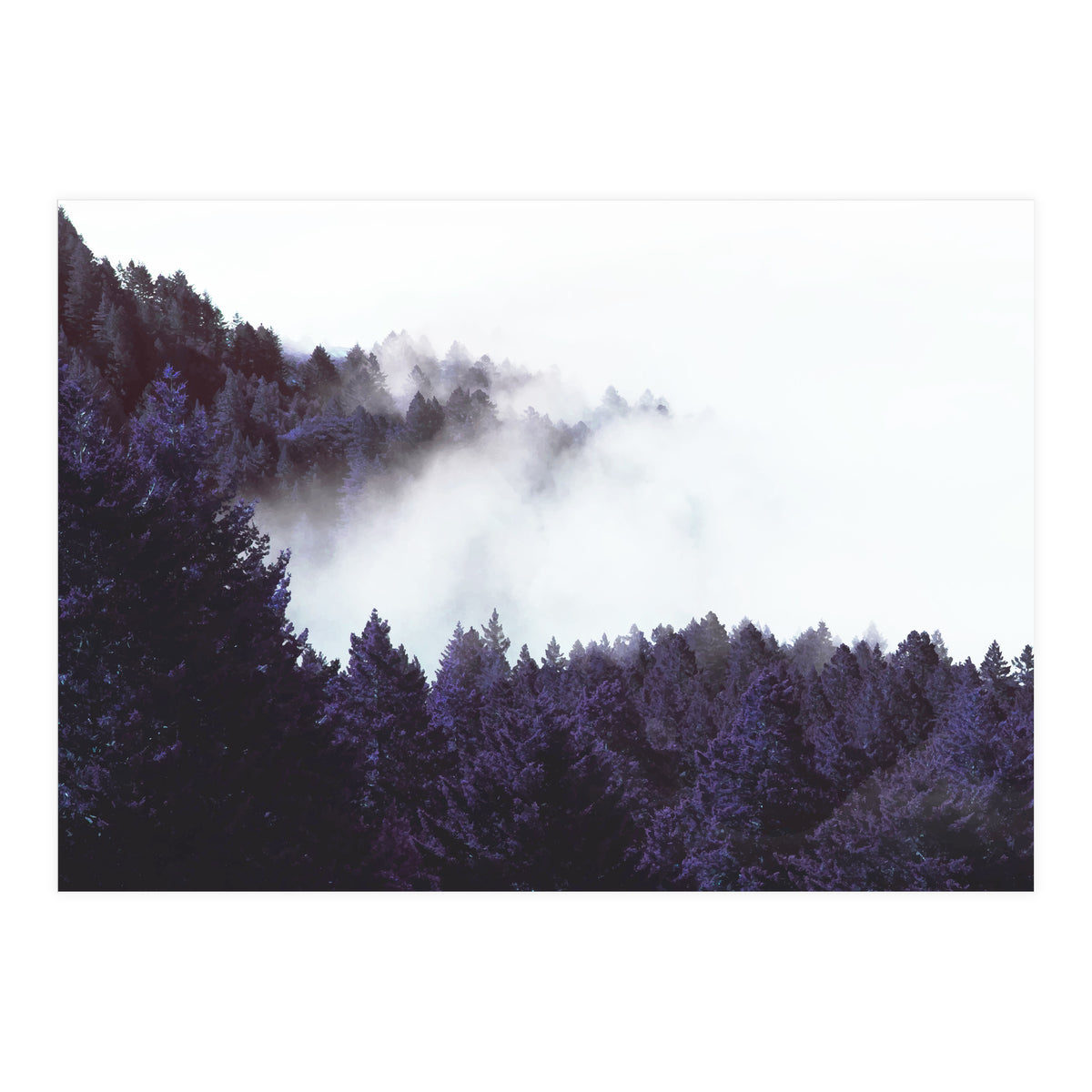 Mystery Fog (Print Only)