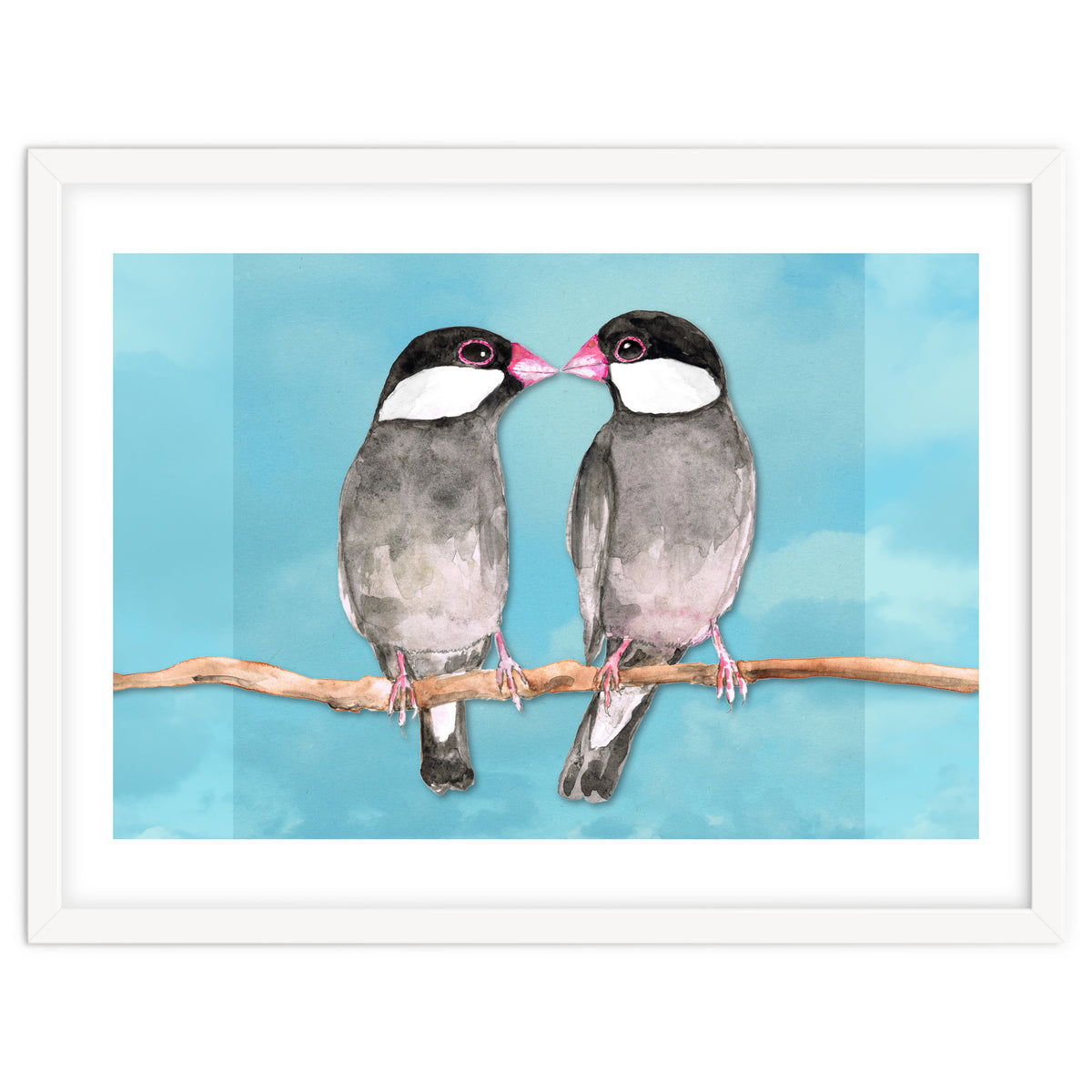 Two kissing Java sparrows