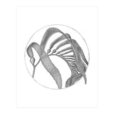 P.O. Blue Carbon (Print Only) thumbnail