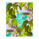Herbs II (Print Only) thumbnail