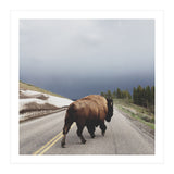 Street Walker (Print Only) thumbnail