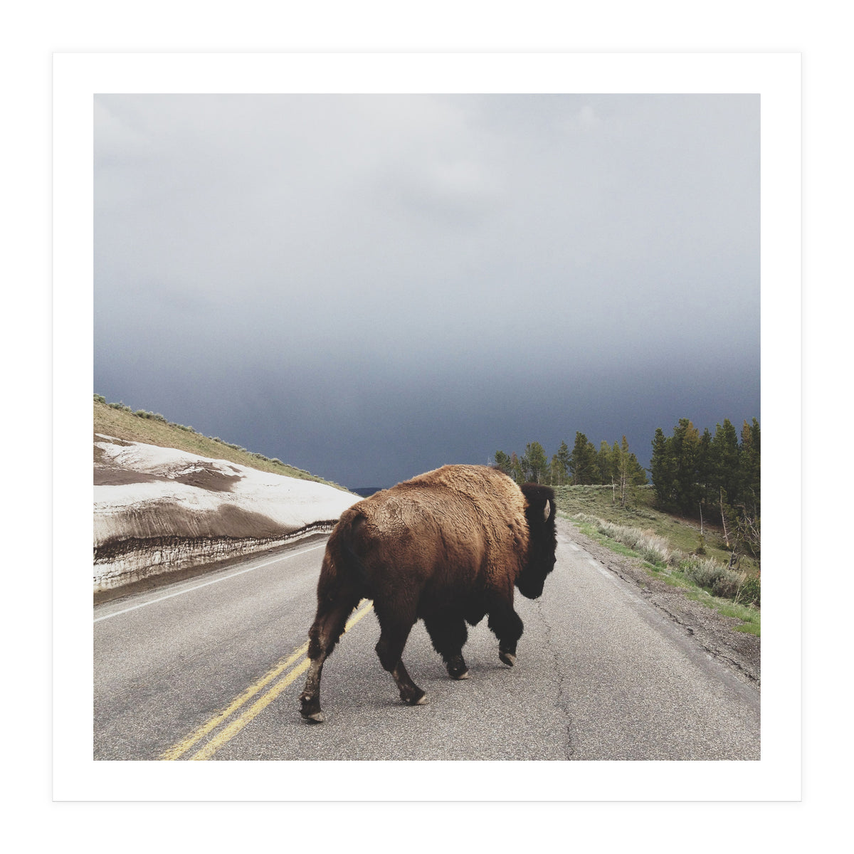 Street Walker (Print Only)