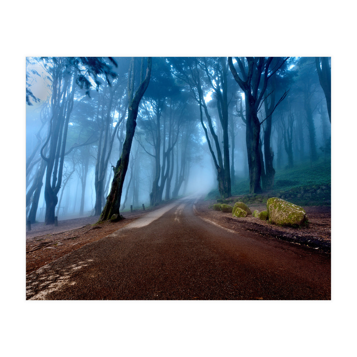 The Road Of Kings (Print Only)