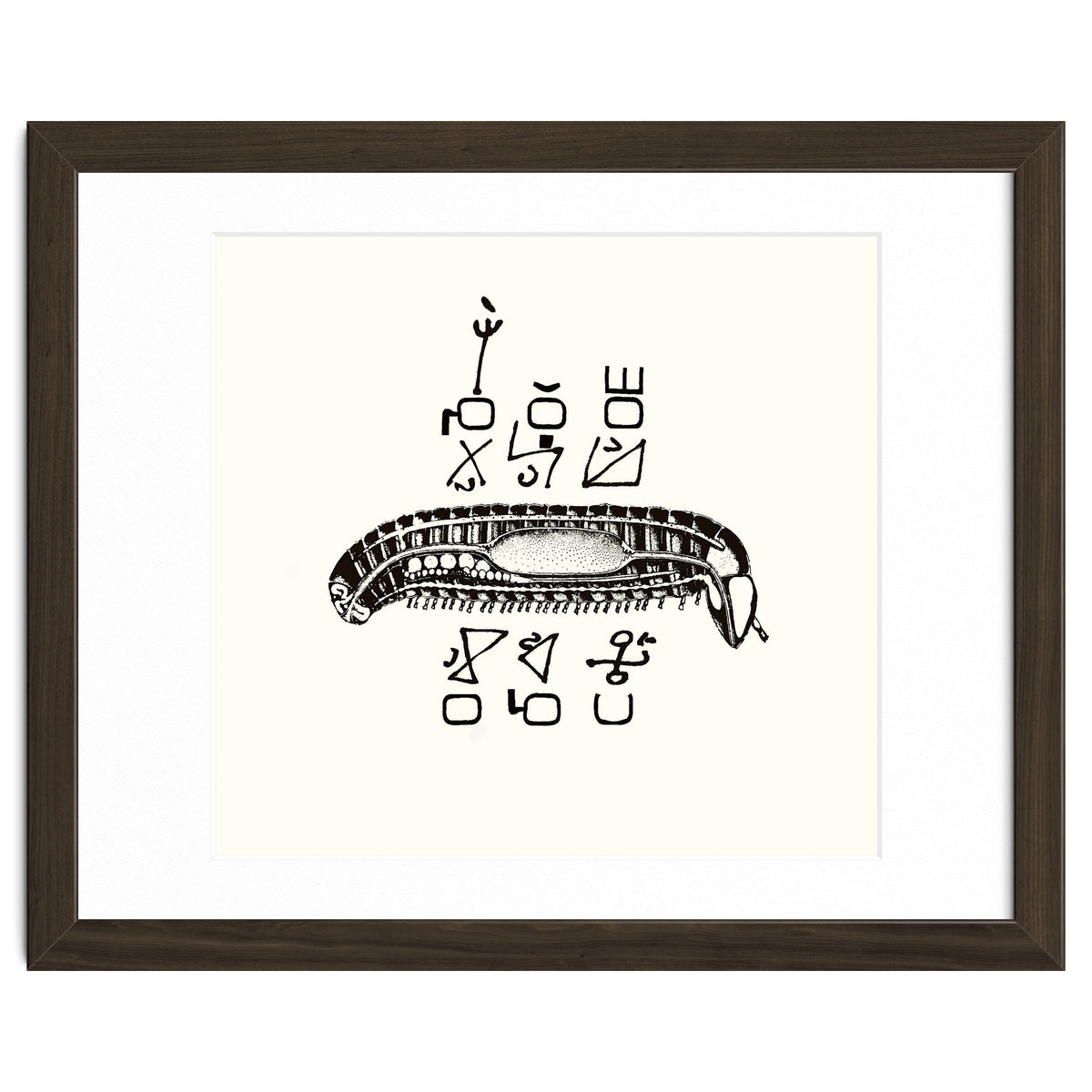 Diplopod David Felix