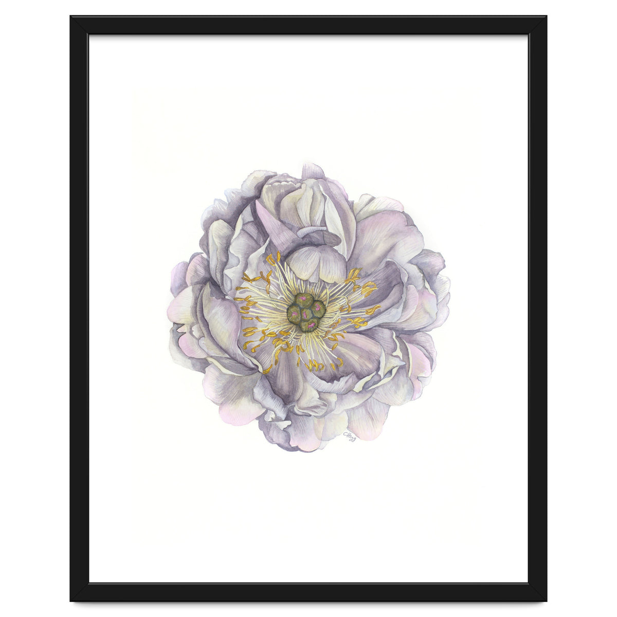 A Peony In Grey Std