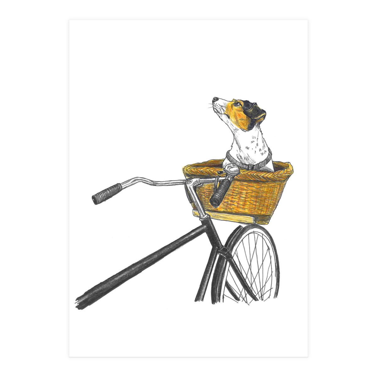 Dog In Basket (Print Only)