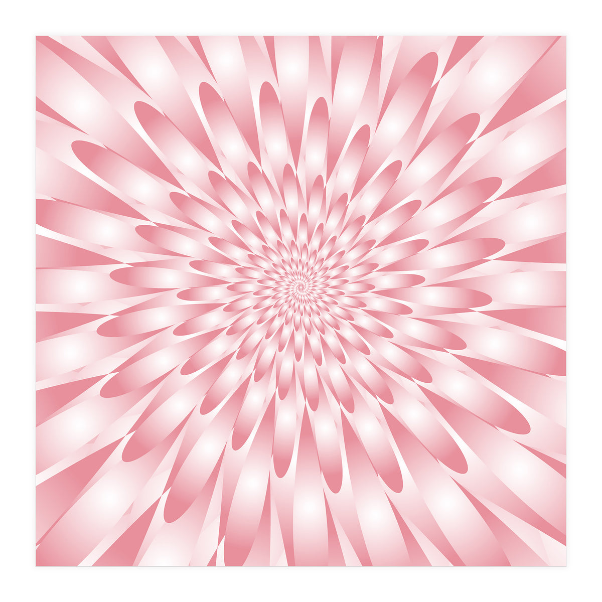 Spiral Pink Flower  (Print Only)