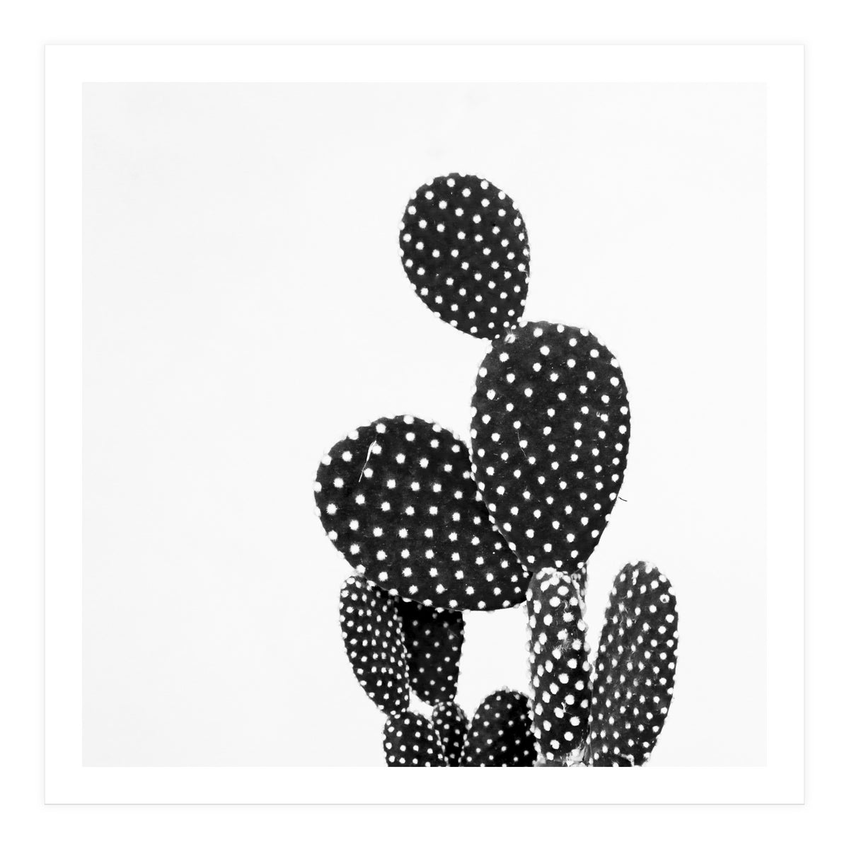 Cactus nature (Print Only)